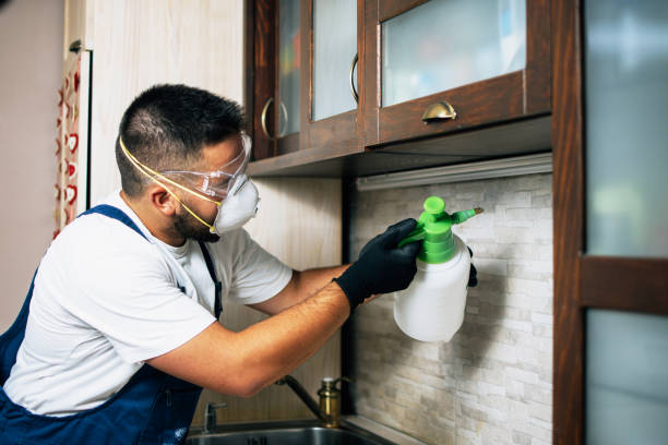 Best Rat Extermination Near Me  in Cochran, GA