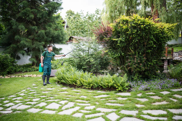 Best Commercial Pest Control Services  in Cochran, GA