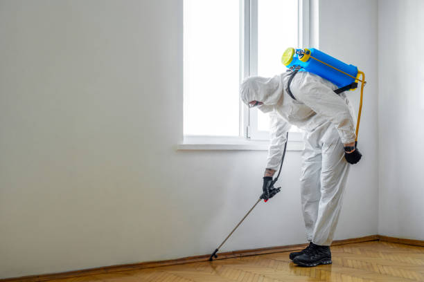 Reliable Cochran, GA Pest Control Solutions