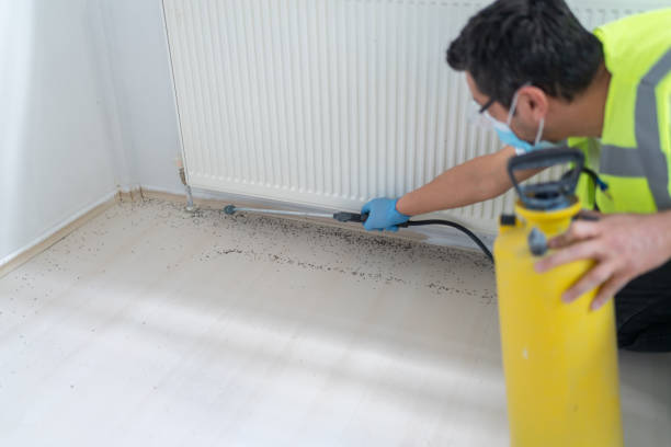 Best Exterminator Services  in Cochran, GA